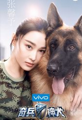 《奇兵神犬》“明星訓(xùn)犬隊(duì)”正式開啟   張馨予楊爍沙溢張大大姜潮加盟 