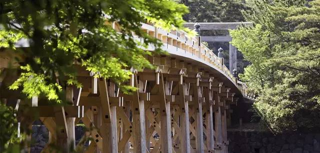 日本夏の旅行，難訂的奢華酒店全在這里！