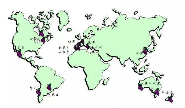中國(guó)葡萄酒發(fā)展，走法國(guó)還是美國(guó)路線？