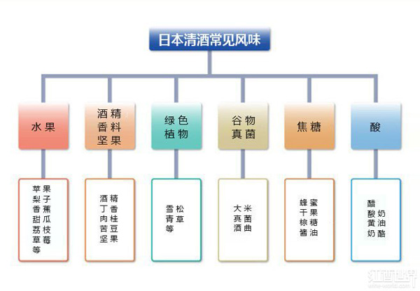 美酒課堂：品鑒日本清酒的必備常識