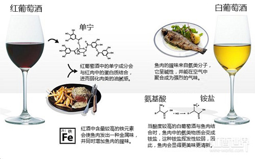 “紅酒配牛排”的真實(shí)原因，一張圖就夠用了！