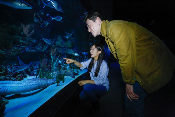 中國情侶入住Airbnb巴黎水族館，和鯊魚“共眠”