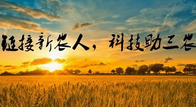 重磅！2021年中央一號(hào)文件發(fā)布，提出全面推進(jìn)鄉(xiāng)村振興