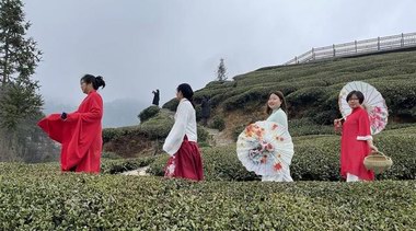 賞風(fēng)景、品香茗、探茶道……荊楚四月天，花樣采茶游