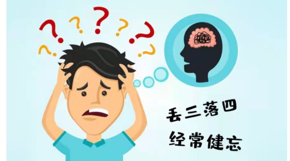 補(bǔ)腎抗衰系列談——記憶力下降？神經(jīng)衰老能“截住”！