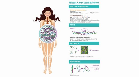 錦波生物獲多項世界首創(chuàng)，1：1完美還原人體膠原蛋白