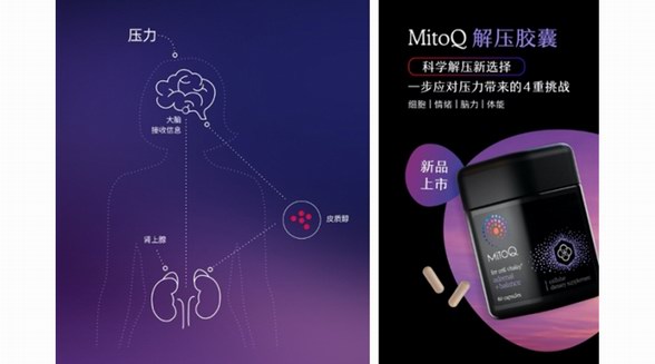 新西蘭MitoQ推出解壓膠囊,實現(xiàn)科學(xué)解壓新選擇