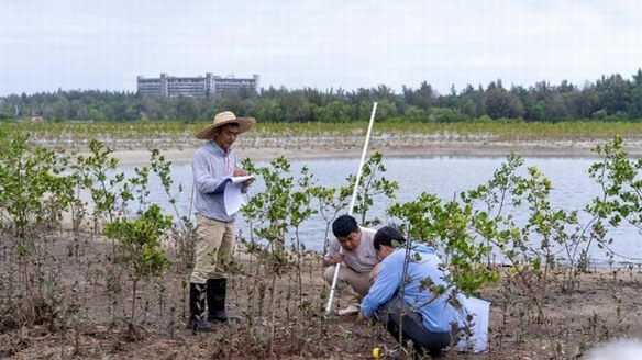 濱海生態(tài)再添新綠 各方聚力共護(hù)生物多樣性 馬爹利在瓊粵兩地同步啟動(dòng)紅樹(shù)林保護(hù)項(xiàng)目第三階段工作