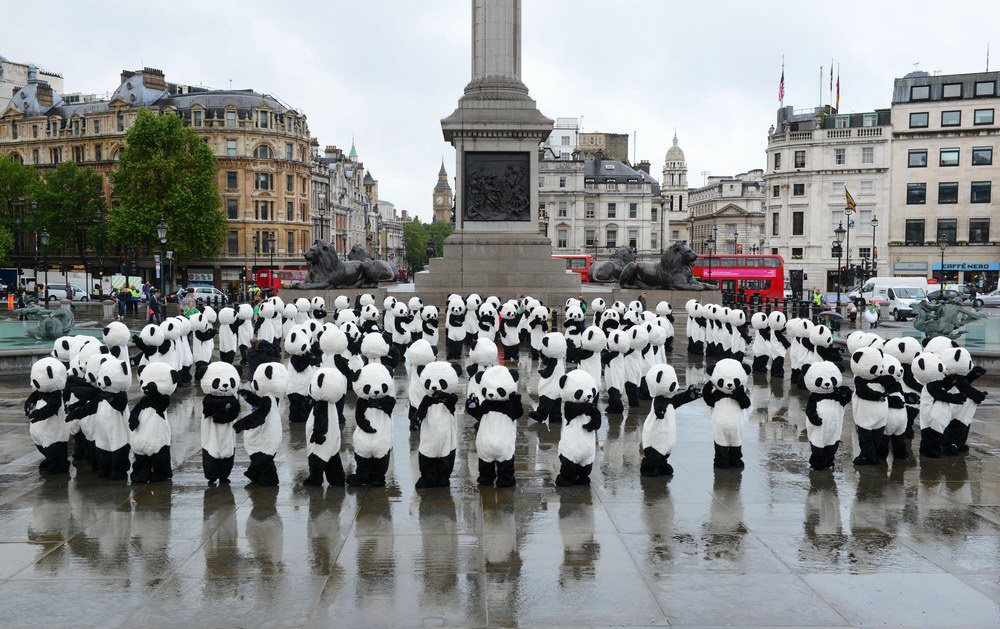 Panda Awareness Week熊貓保護(hù)意識周：成都大熊貓“熊抱”倫敦奧運(yùn)